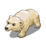 Bears