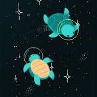 babysharks