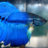 Blue Betta