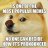 Professor Doge