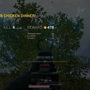 Chicken Dinner #8