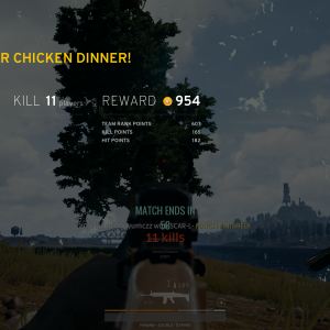Chicken Dinner #5