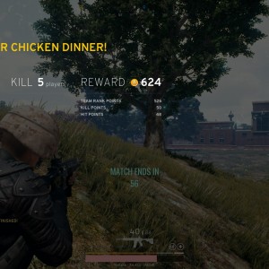 Chicken Dinner #3