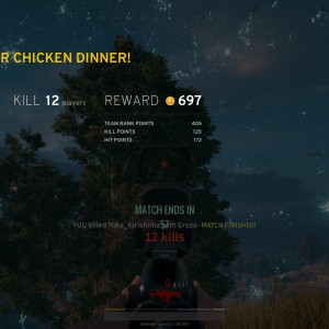 Chicken Dinner #2