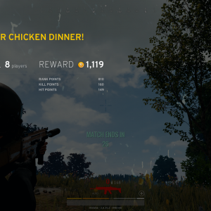 Chicken Dinner