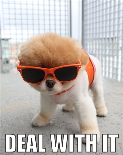 deal-with-it-puppy-1.png