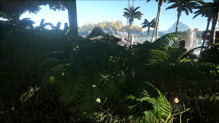 Harvestable_ResourcesScreenCaps_Bushes2.jpg