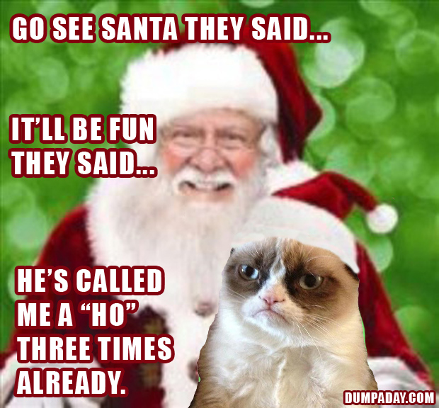 grumpy-cat-christmas-bacon-wrapped-media-1.jpg